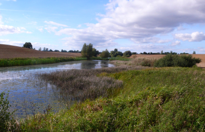 Kleingew�sser westl. Kuhzer See